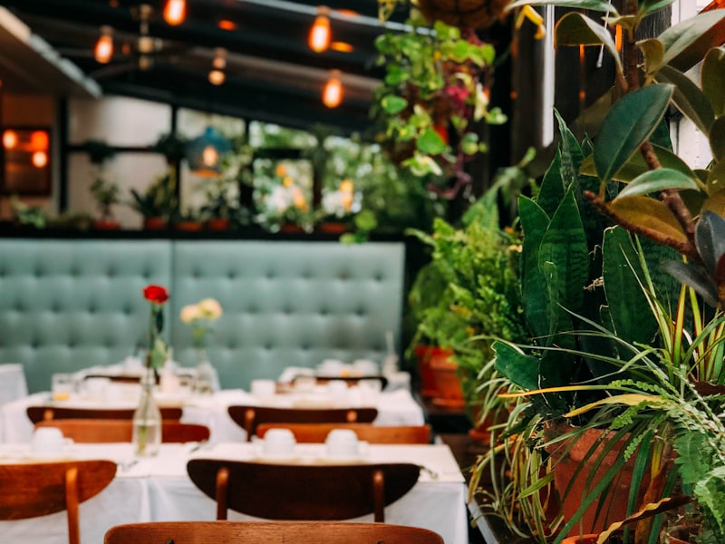 Restaurantes y cafeterías